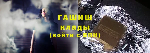 стаф Новокубанск
