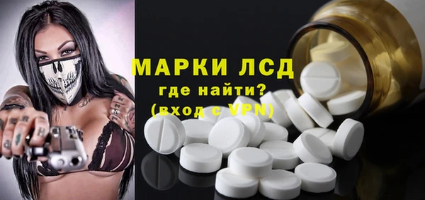 стаф Новокубанск