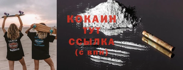 PSILOCYBIN Новодвинск
