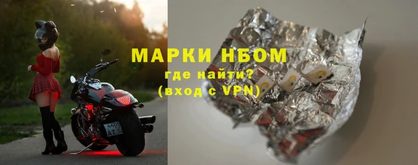 стаф Новокубанск