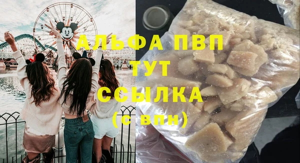 стаф Новокубанск