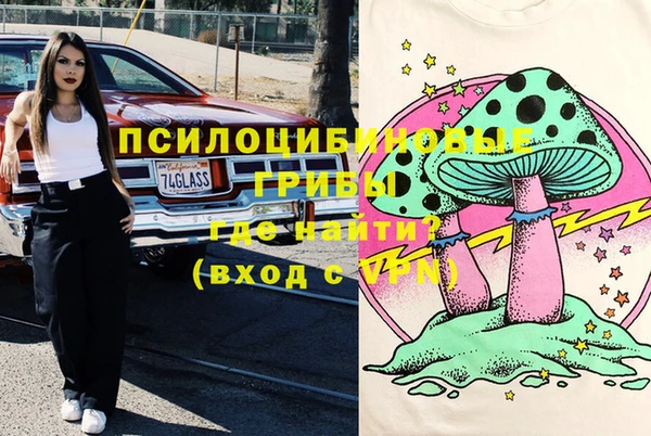 стаф Новокубанск