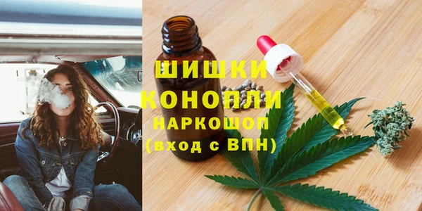 spice Новозыбков