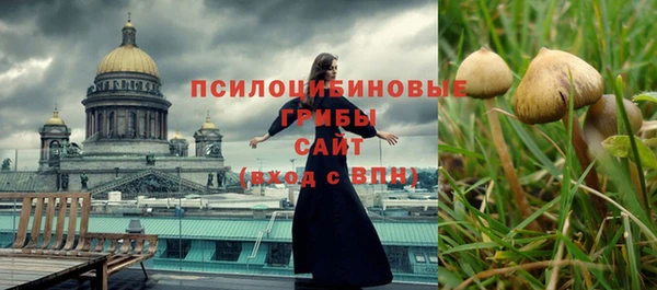 spice Новозыбков