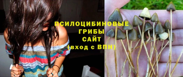 spice Новозыбков