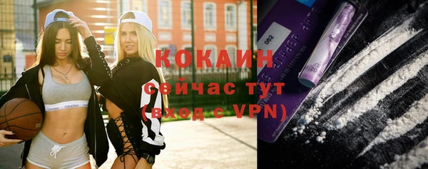 стаф Новокубанск