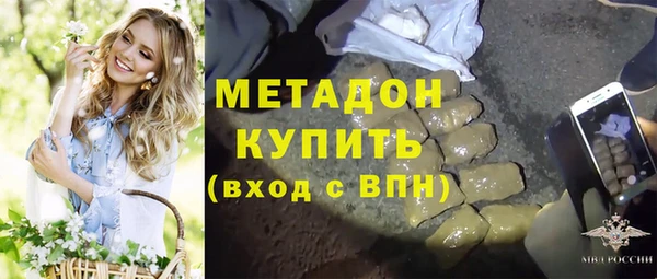 стаф Новокубанск