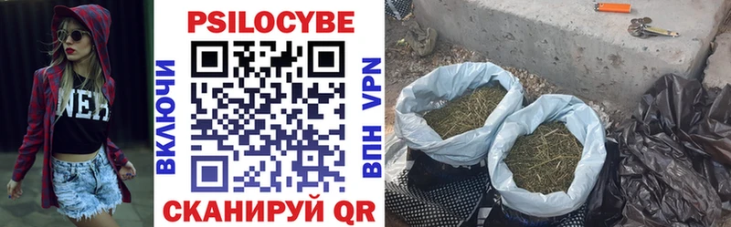 Псилоцибиновые грибы Psilocybe Омск