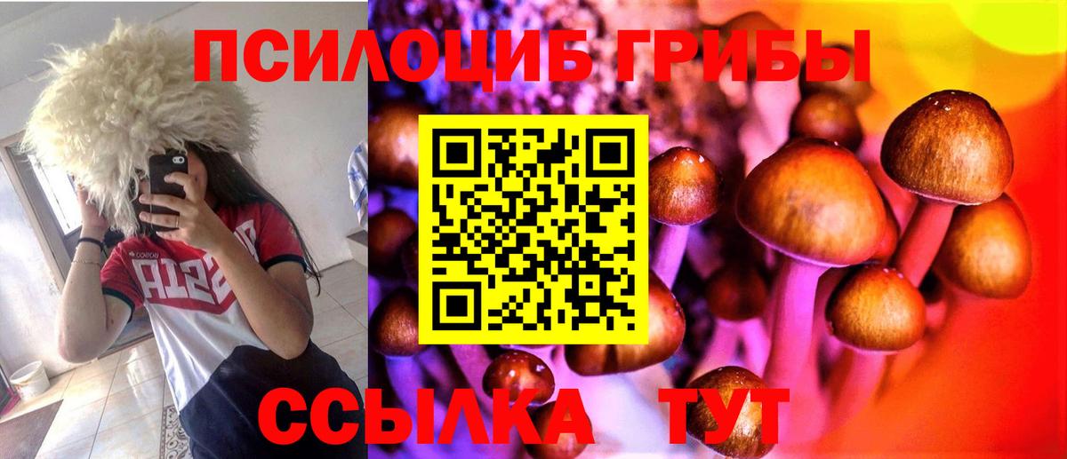 Псилоцибиновые грибы Magic Shrooms  Омск 
