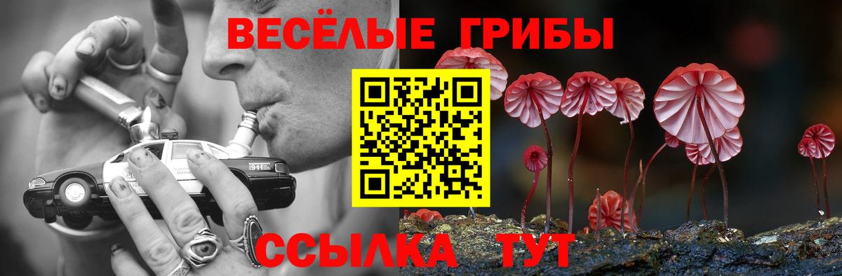 Псилоцибиновые грибы MAGIC MUSHROOMS Омск