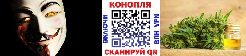 Конопля план  Омск 